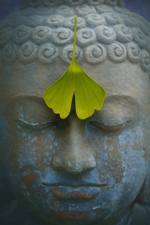 Green Insect on a Buddha Head